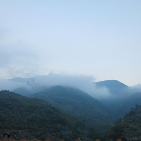 Vila Rustic Liguria Ceriana Exteriér fotografie